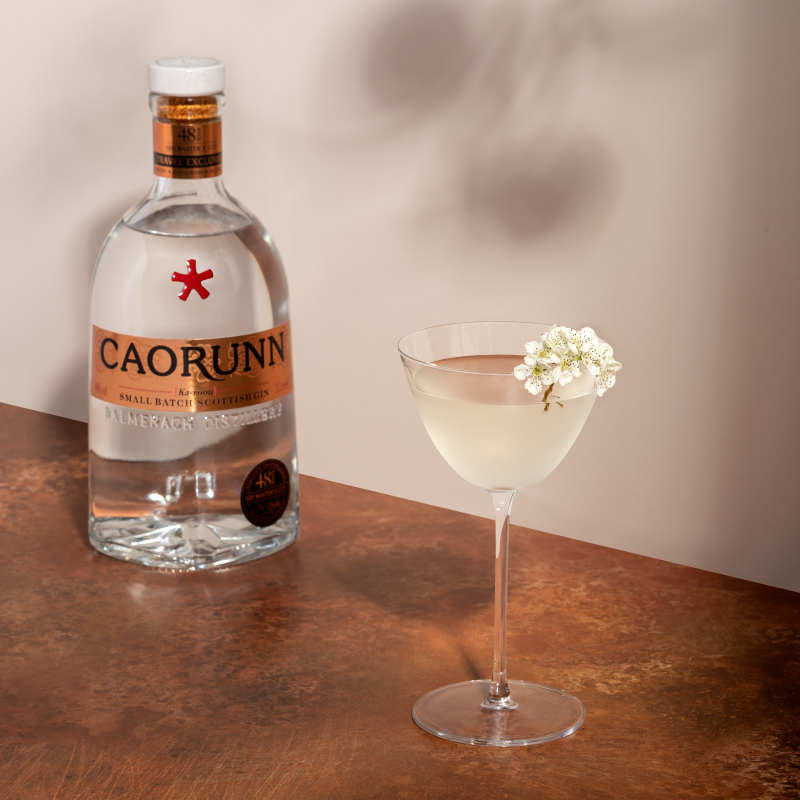 Caorunn GMC Martini with bottle