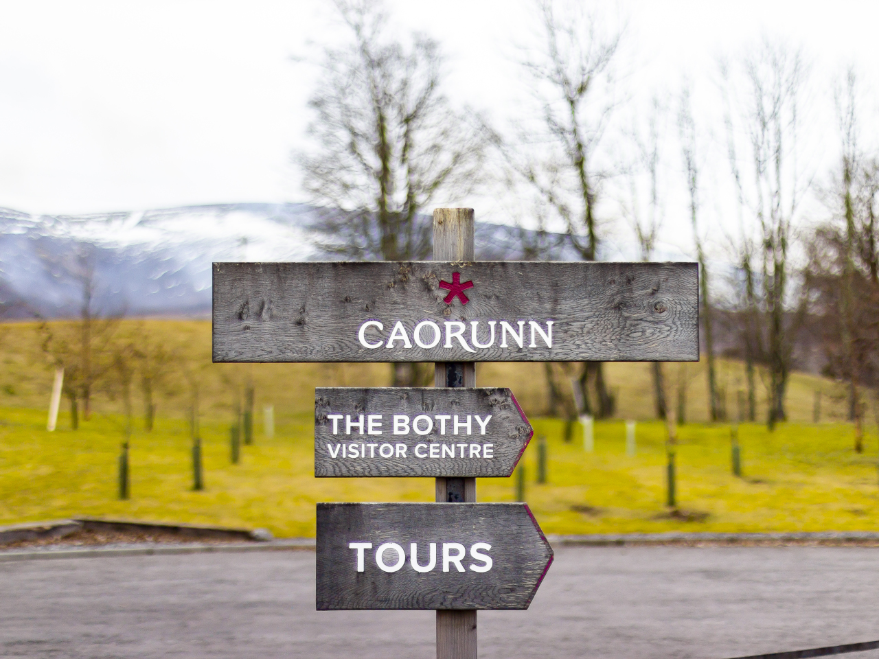 Caorunn Original 2020 005