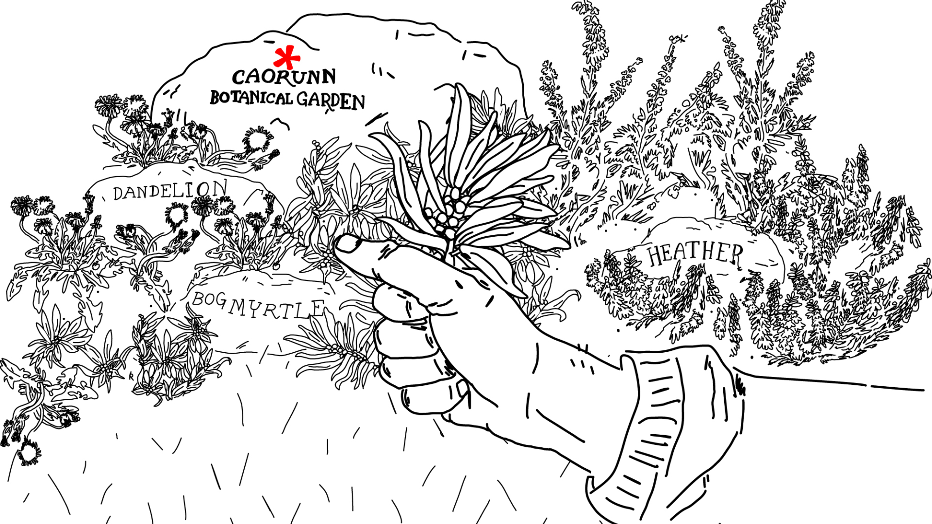 Handpicked Botanicals Illustration