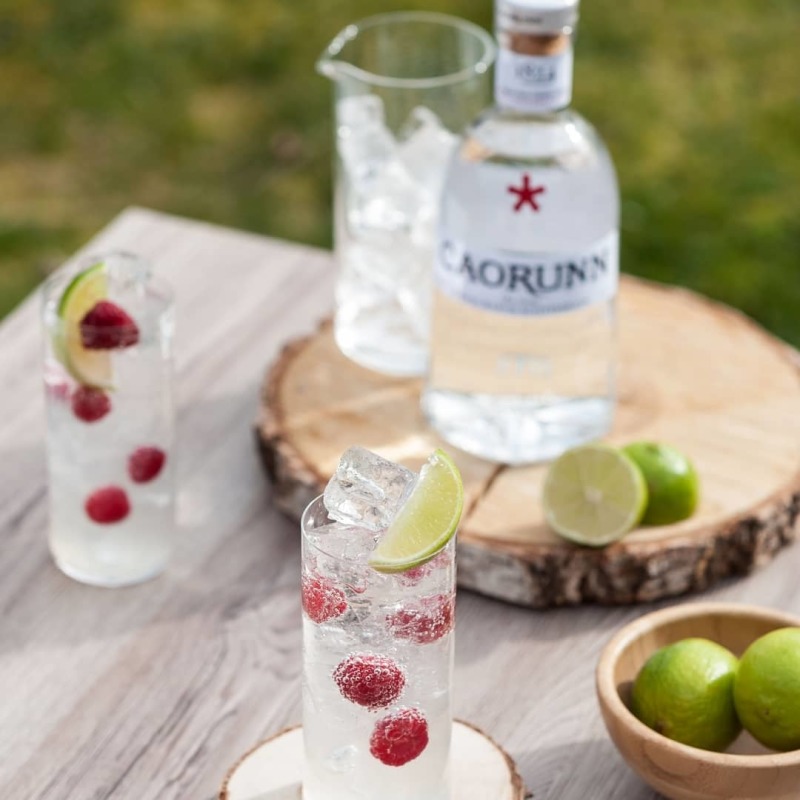 Caorunn gin lime and raspberries
