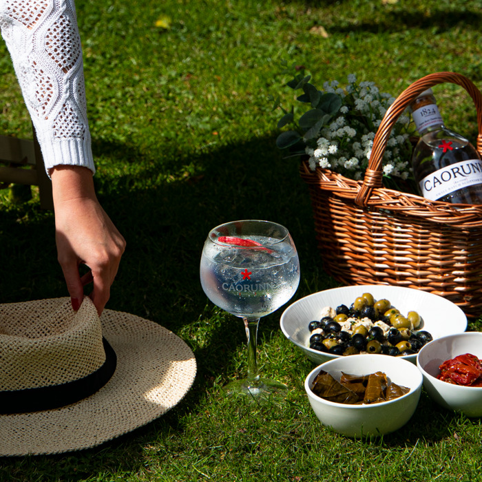 Picnic with Classic Bottle Copa Glass and Perfect Serve