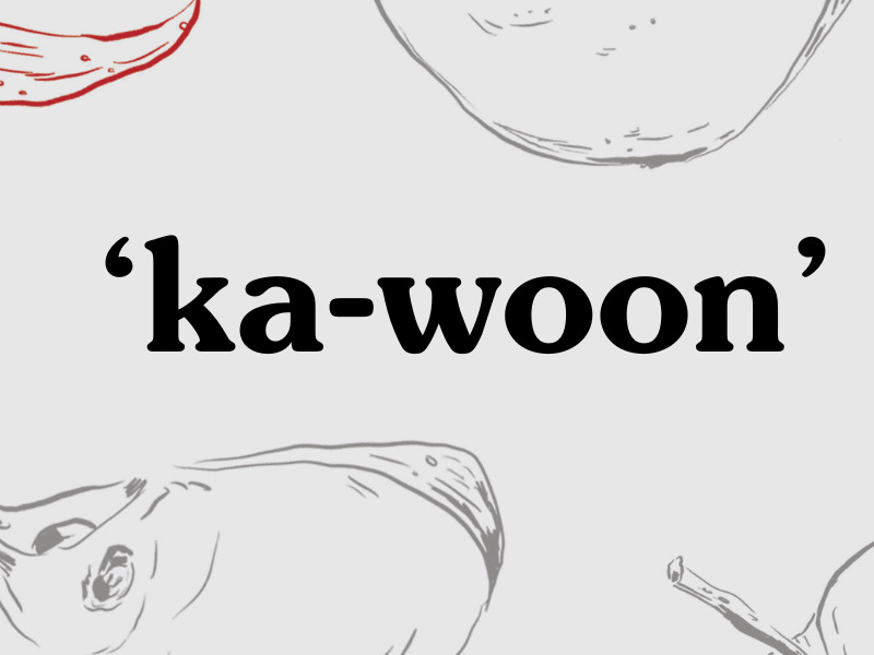 Kawoon