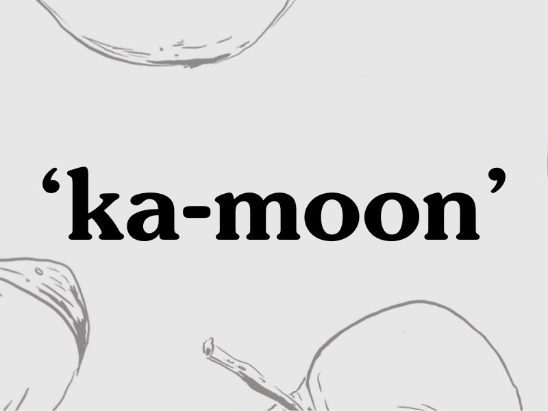 kamoon