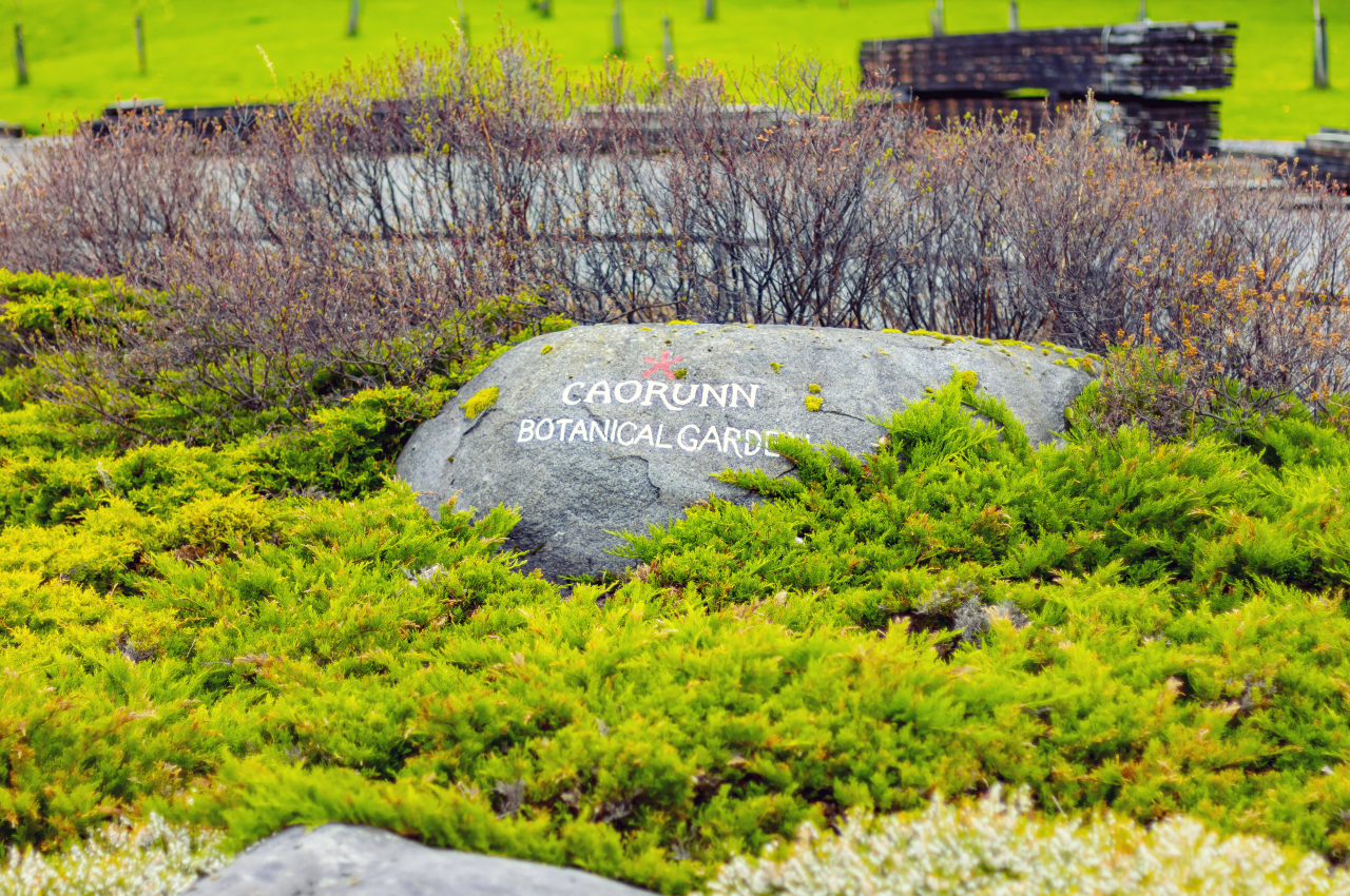 Caorunn Botanical Garden 004