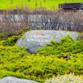 Caorunn Botanical Garden 004