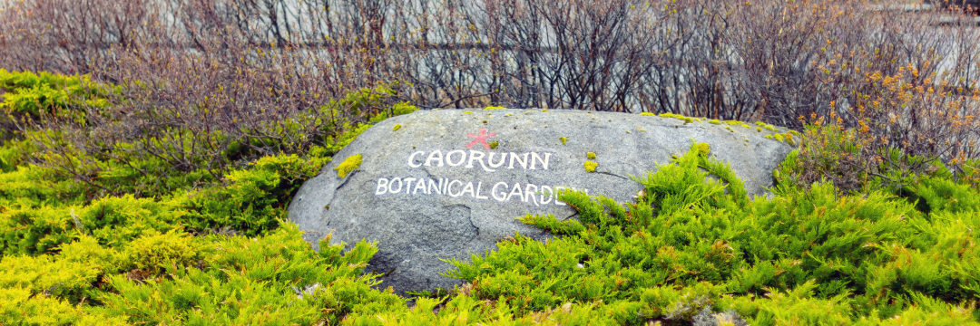 Caorunn Botanical Garden 004