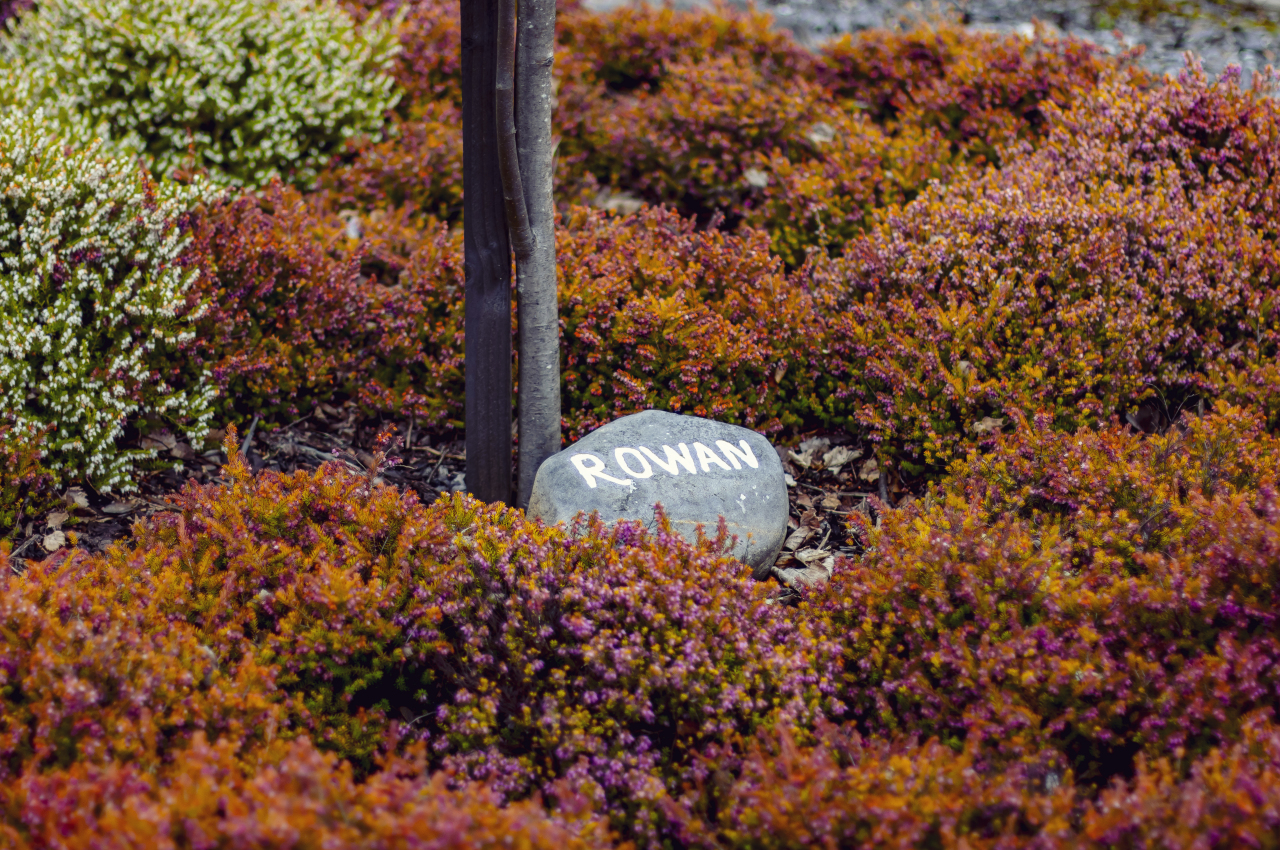 Caorunn Botanical Garden 007
