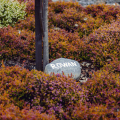 Caorunn Botanical Garden 007
