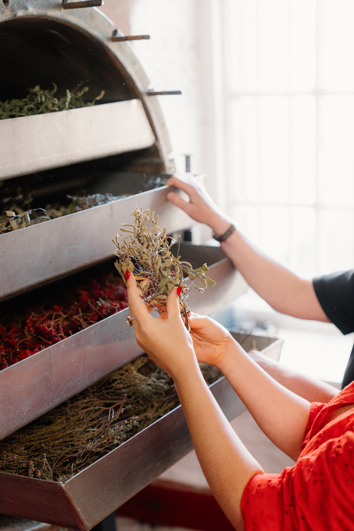 Juila Bryce exploring botanicals 