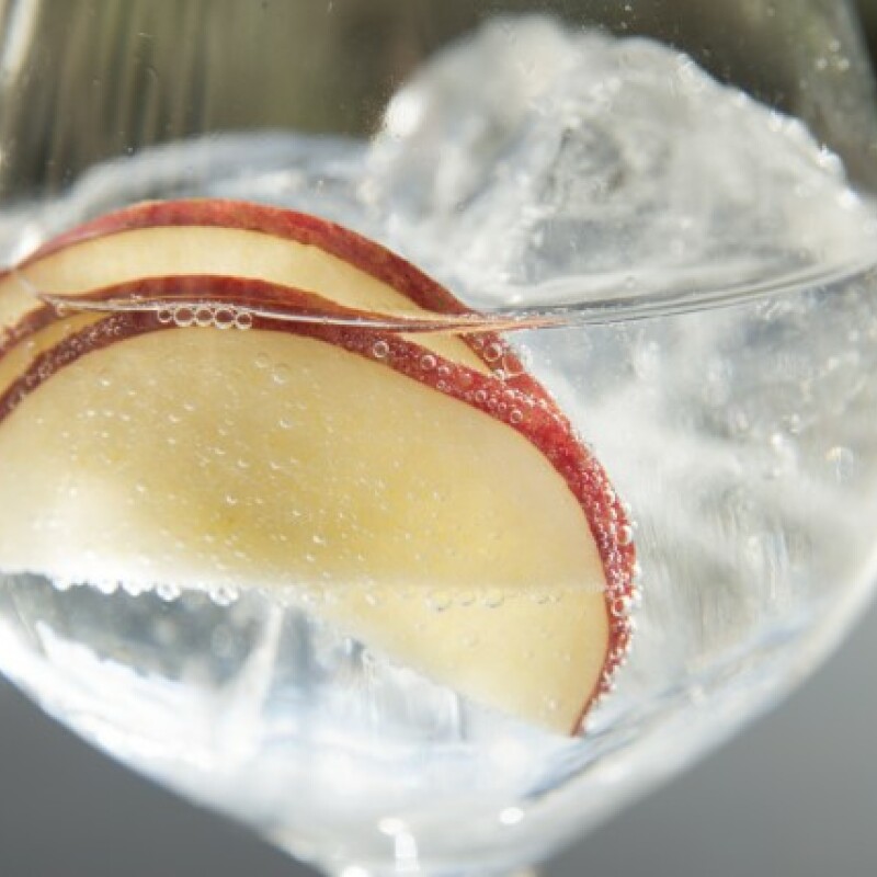 Instagram feed caorunn and tonic 