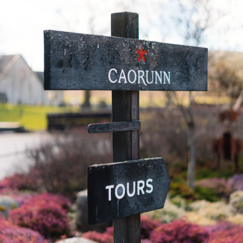 Instagram feed caorunn tours 